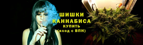 соль ск Горнозаводск