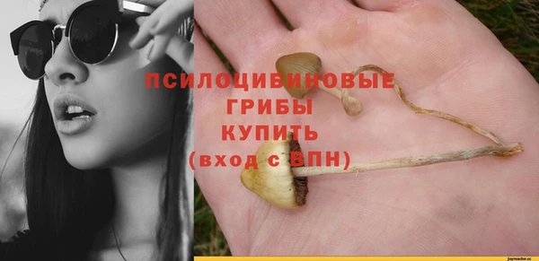стафф Гусиноозёрск