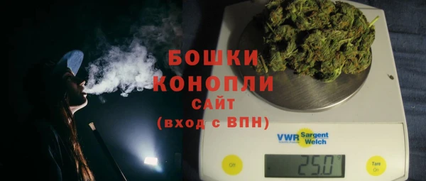 МДПВ Гусев