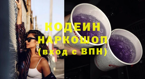 МДПВ Гусев