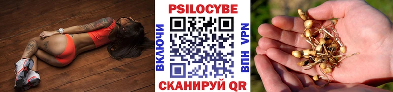 Галлюциногенные грибы мицелий  Купить где  Елизаветинская 
